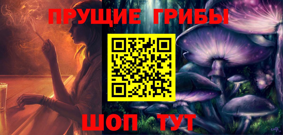 Галлюциногенные грибы Psilocybe Ульяновск